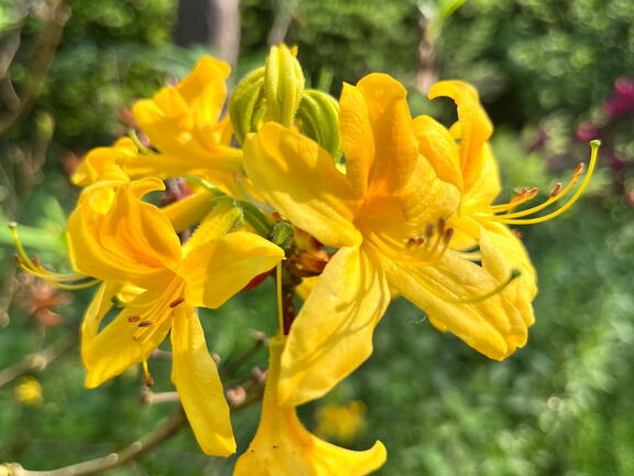 23-06-03 16-52-18 5805